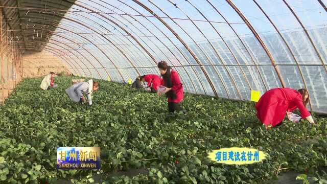 甘州区强力推进全国旅游标准化试点城市创建