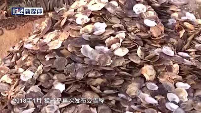 獐子岛近期再次出现扇贝大量死亡 专家称调查结果已经上报