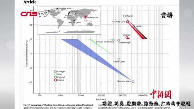 中外科学家从190万年前广西巨猿化石中提取遗传物质