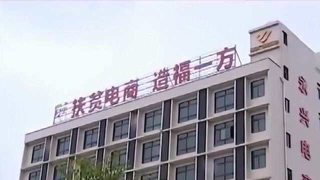 秀英区:电商助力脱贫 蔬菜直供社区