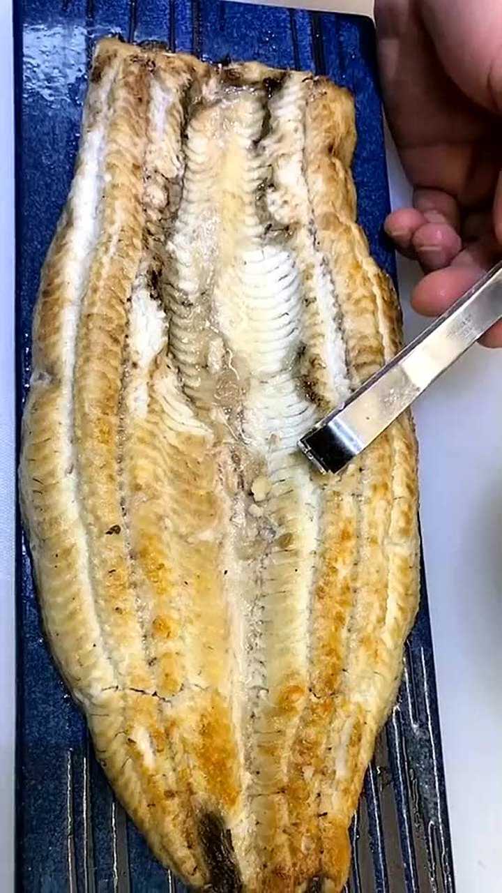 拔鳗鱼的刺鳗鱼有小刺哦