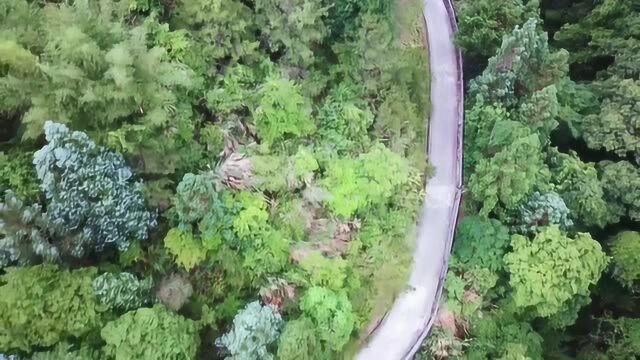 傲基蜻蜓无人机试飞体验