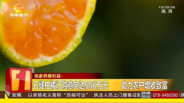 石缝柑橘订购意向五百万 三千亩脐橙远销全国 助力农户增收致富