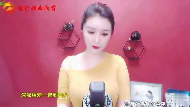 流行歌曲欣赏《怎么爱都爱不够》一首好听的经典歌曲