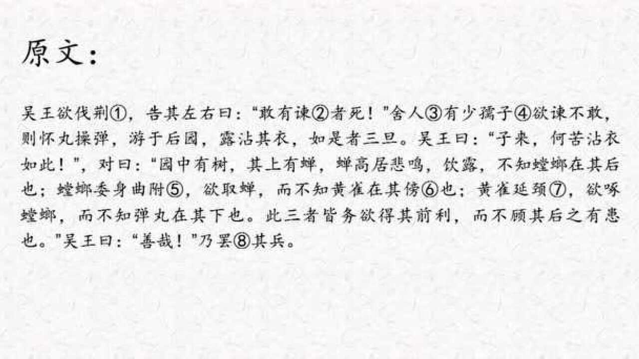 小古文打卡螳螂捕蝉