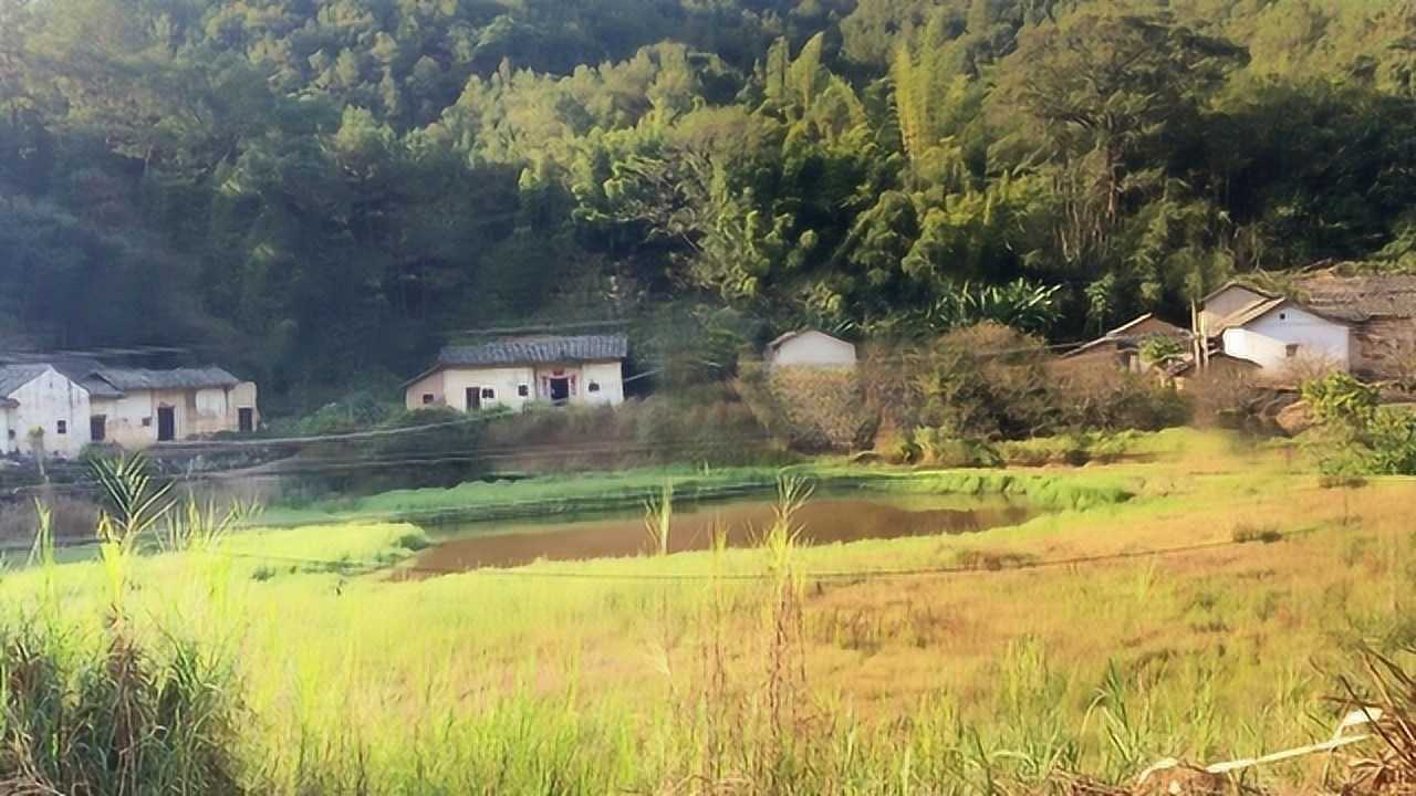 实拍广西无人村,风水宝地白天都见不到一个人,你敢来这里住吗