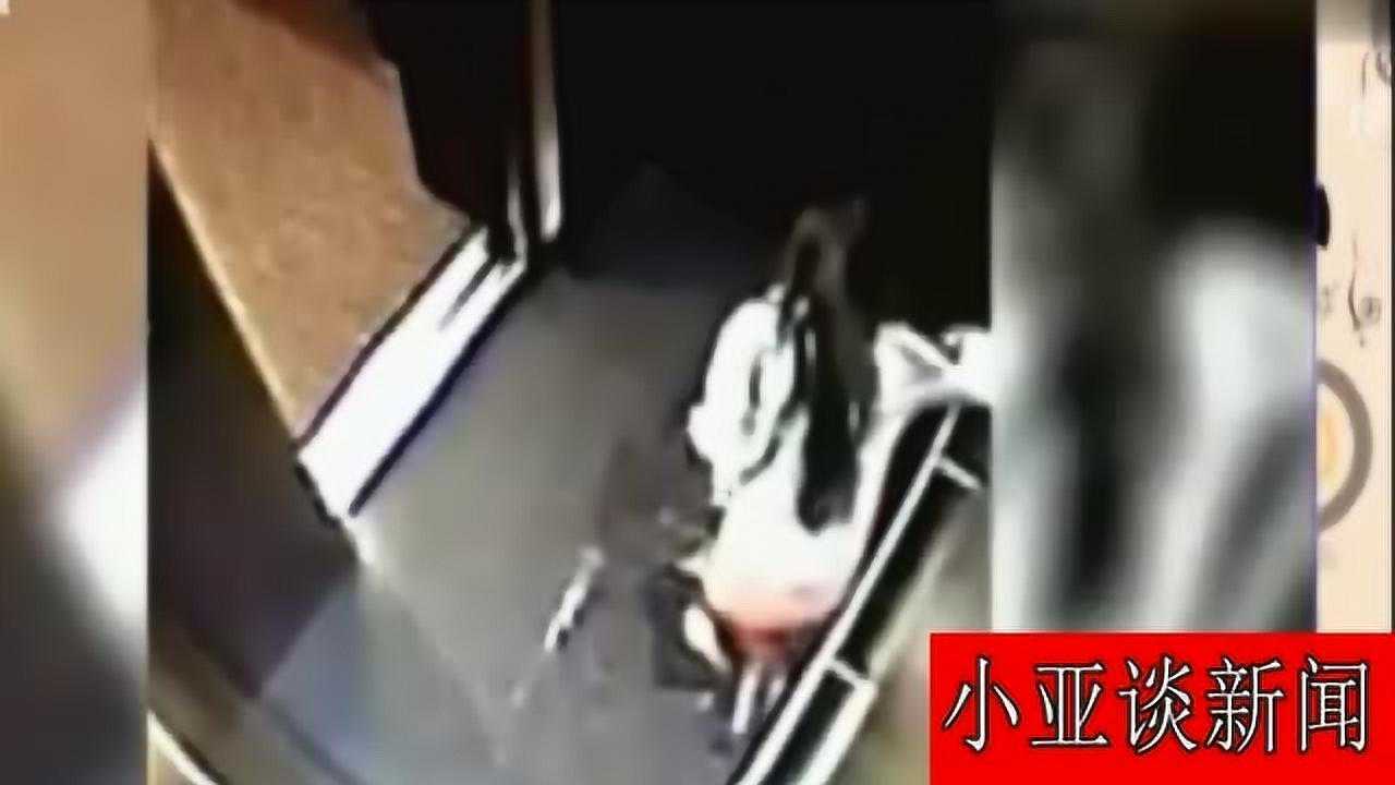 广州一女子在电梯里小便，不脱裤子直接解决！_高清