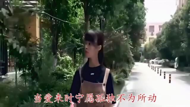 一首经典歌曲《一人一个梦》歌词入心,令人陶醉