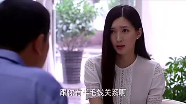 一仆二主:杨树劝唐红劝不动,竟然想到要菁菁来揭穿齐建军