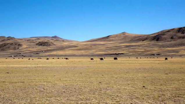 西藏阿里地区措勤县发生3.6级地震