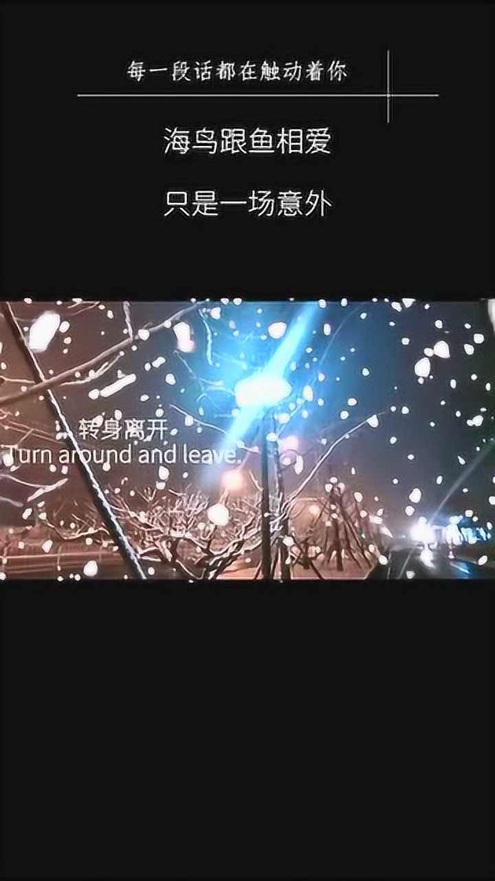 转身离开,有话说不出来,海鸟跟鱼相爱,只是一场意外!