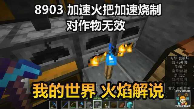 我的世界 火焰解说 8903 加速火把加速烧制 对作物无效