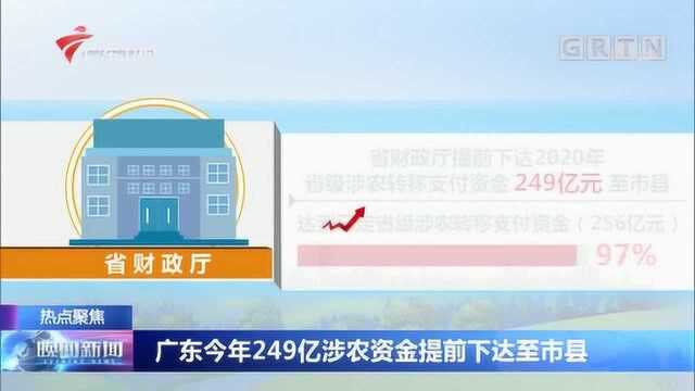 广东今年249亿涉农资金提前下达至市县,加快提升财政支农政策效果