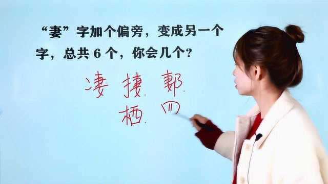 “妻”字加个偏旁,变成另一个字,总共6个,你能写几个?