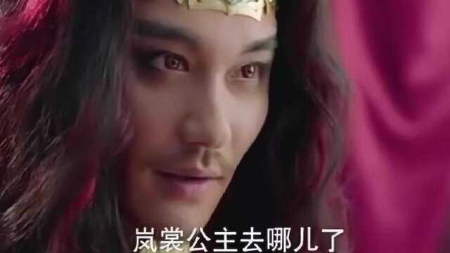 世界那么大,我哪儿知道我家公主去哪里了?圣尊对岚裳比试无赖