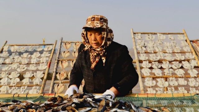 台州美食—鸡山岛上的鱼干