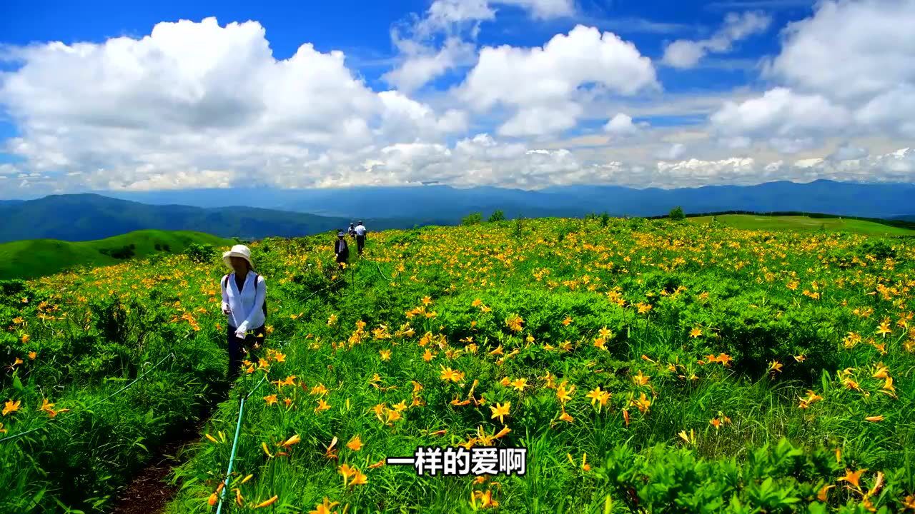 山东k歌大赛晋级赛412号李金勇《阿爸阿妈》