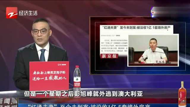 “红通夫妻”至今未到案:被没收1亿 5套境外房产