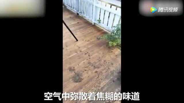 实拍男子雨天后院拍闪电 身边炸雷险送命!