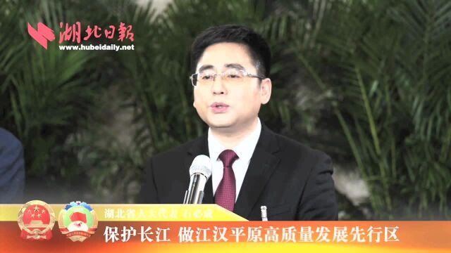 石必成:保护长江,做江汉平原高质量发展先行区