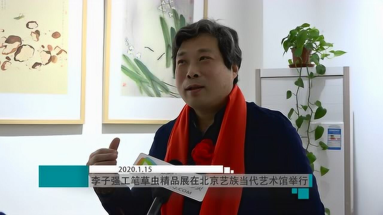 李子强工笔草虫精品展在北京艺族当代艺术馆举行_高清1080P在线观看平台_腾讯视频