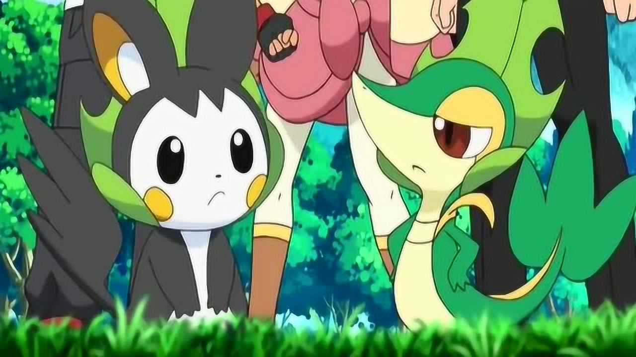 精灵宝可梦导电飞鼠竟笑话藤藤蛇不料却得到了惨重的教训