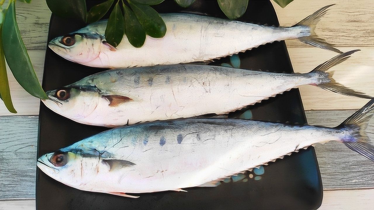 第1次吃北海鲅鱼鱼皮又硬又厚炖不烂鱼肉却是又鲜又香