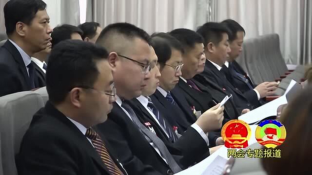 阜平县第十七届人民代表大会第四次会议举行第二次全体会议