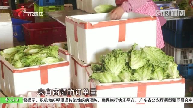 大型农场:加人加班分拣 日供80吨蔬菜