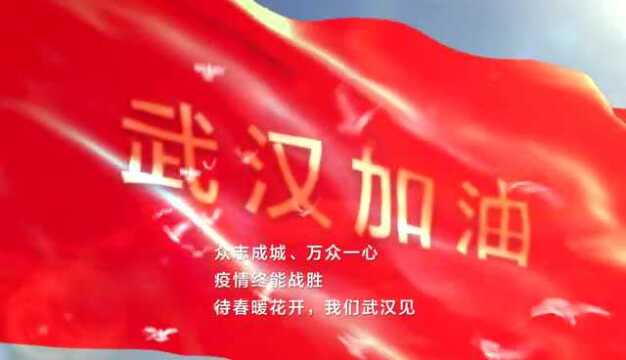 天佑武汉:严当当献歌《生命的阳光》