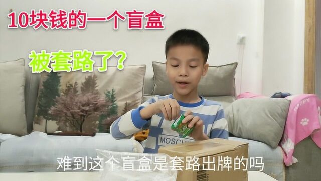 小学生花了10块钱网购了一个盲盒,开出来的是什么呢?是套路吗?