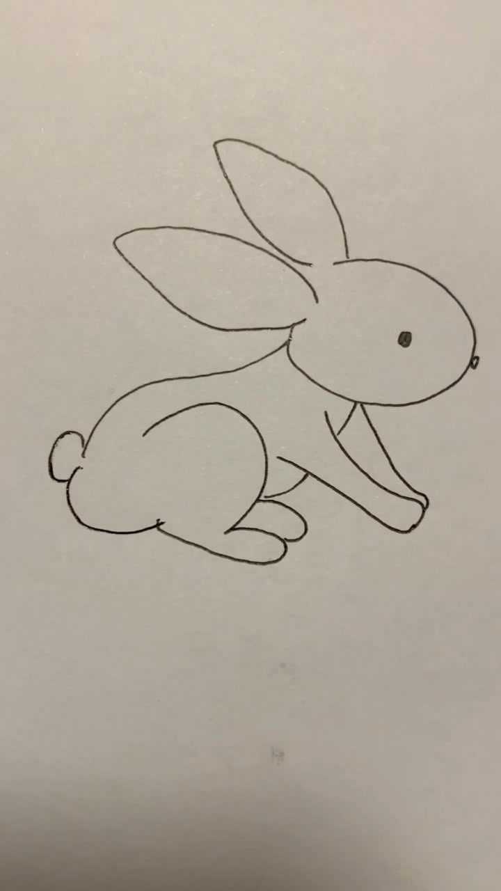 手工简画可爱的小兔子
