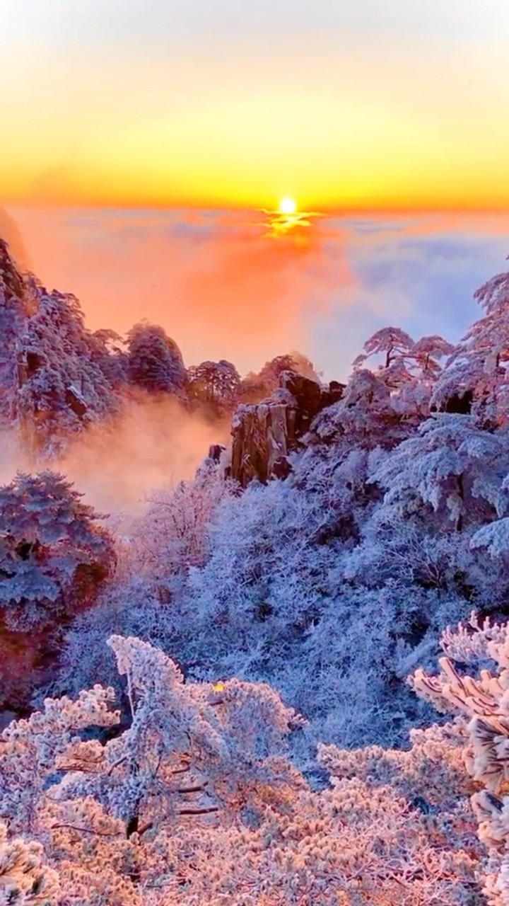 冬季最美的风景黄山大雪后的日出