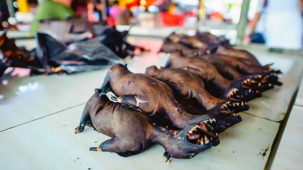 印尼最大的野生动物市场品种应有尽有蝙蝠已经见怪不怪了
