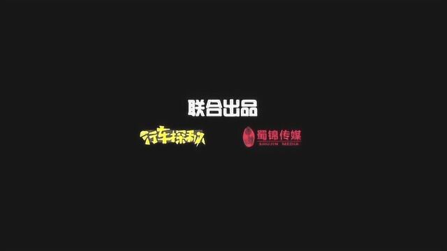 入门级车型设计和配置都没法看?网友:斯柯达面前不谈性价比