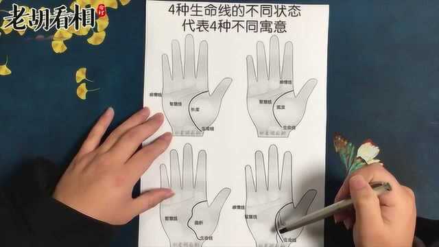 手上这4种生命线的类型,都代表哪些不同寓意?【老胡看相】