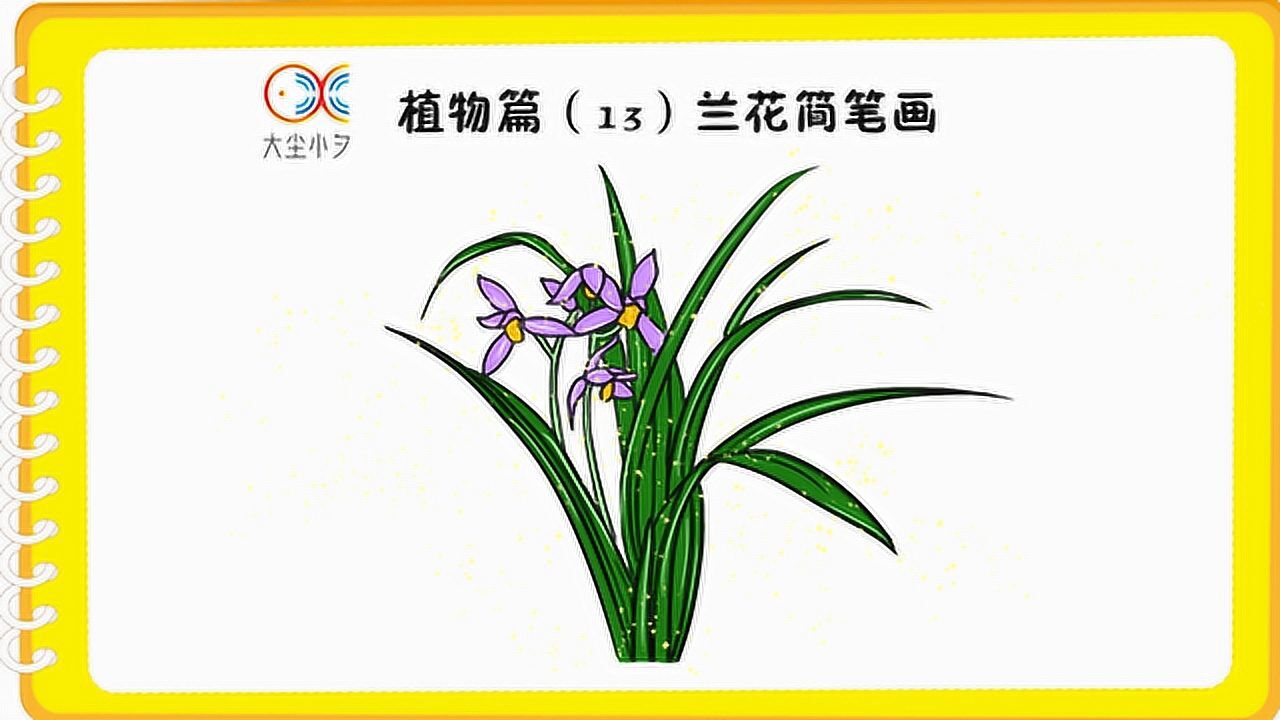 植物篇(13)兰花简笔画教程