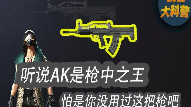 武器大科普:听说AK是枪中之王,怕是你没用过这把枪