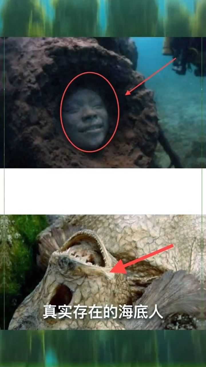 真实存在的海底人未解之谜