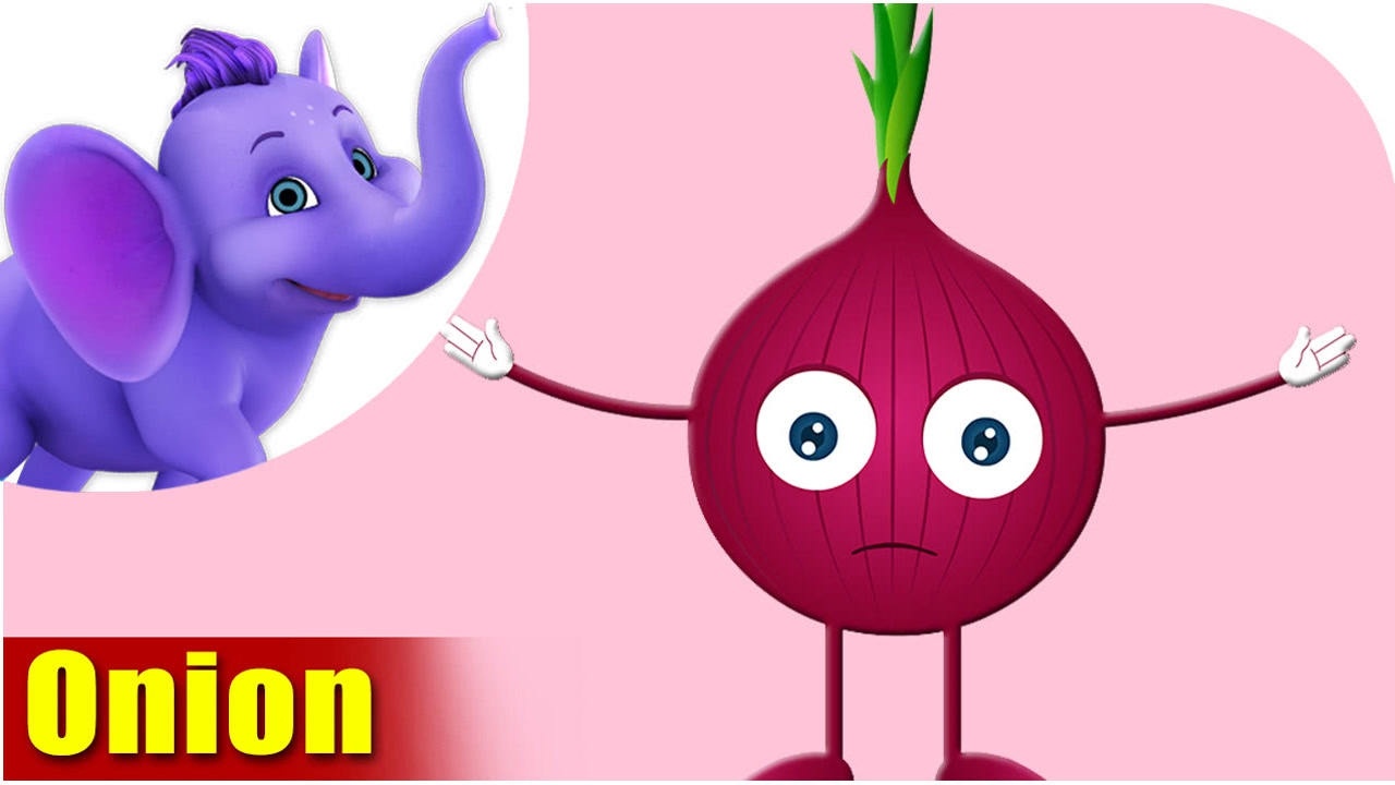 第03集 洋葱 onion