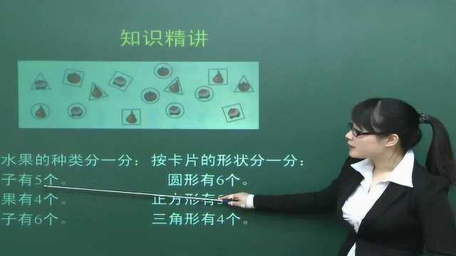 一年级数学(下)《分类与整理》教学视频