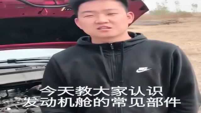 老司机教大家认识发动机舱内的常见部件,小白车主快来认领!