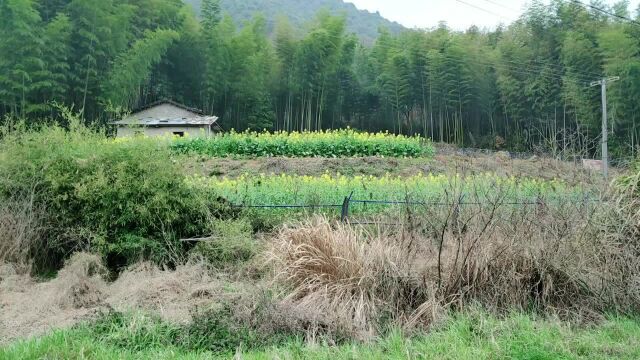 闲着没事做不如来学服装设计,既学了画画,又学了缝纫刺绣!