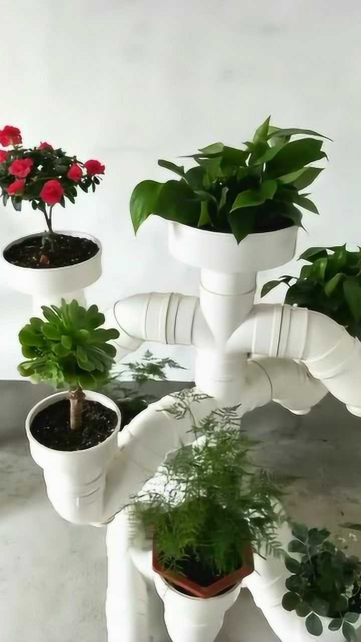 水管自制花架简单好看