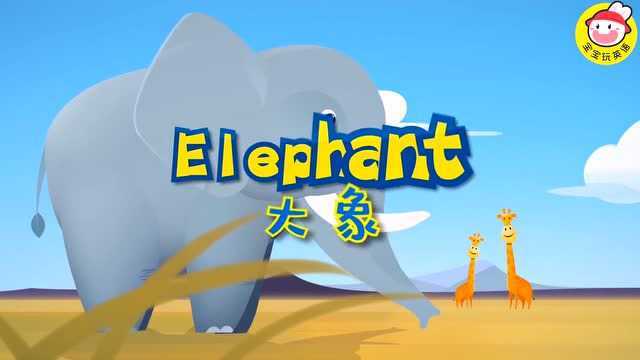 宝宝玩英语xIFAW 野生动物保护公益课 | 大象 Elephant