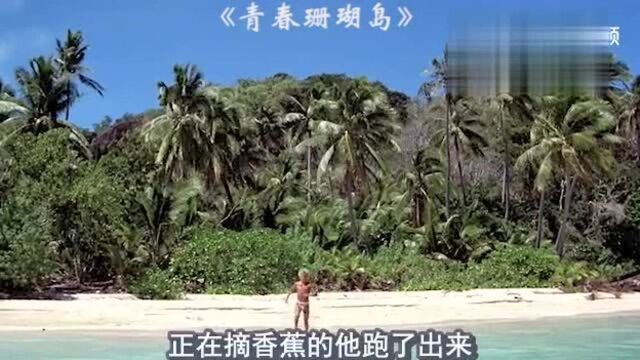 《青春珊瑚岛》少男少女流落荒岛,怀孕生子后,拒绝救助留在岛上