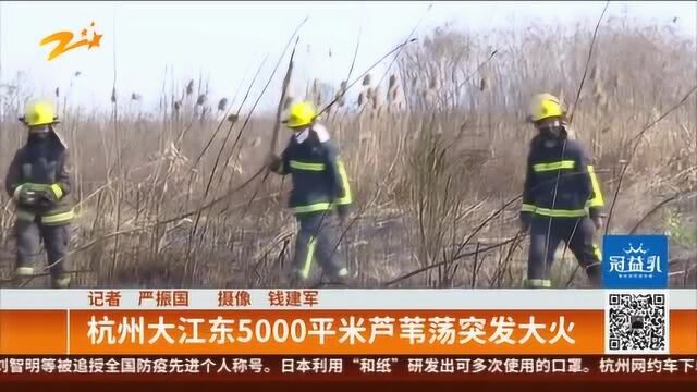 杭州大江东5000平米芦苇荡突发大火