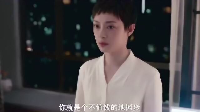 安家:假包包终于真相,房似锦不淡定了?