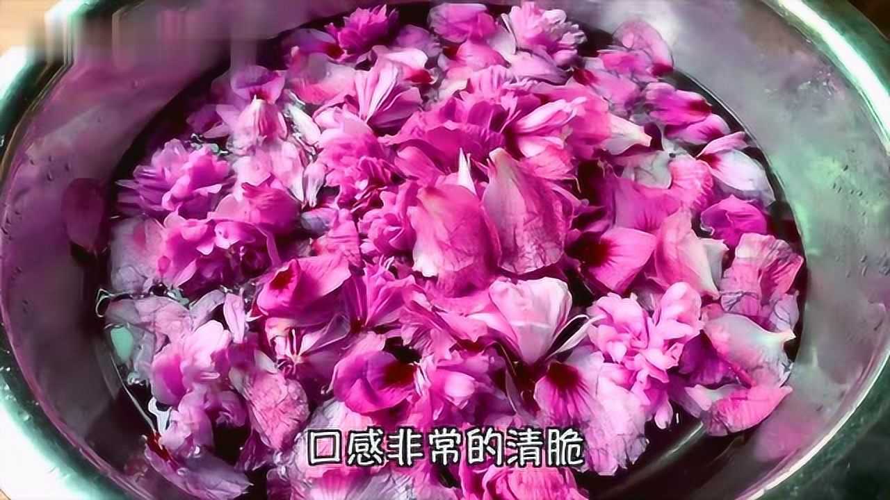 木槿花可以吃吗(木槿花为什么叫断头花)