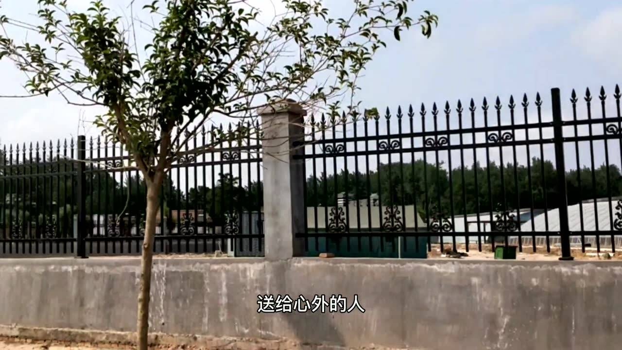 带大家看一下大衣哥朱之文的家乡朱楼村的现状
